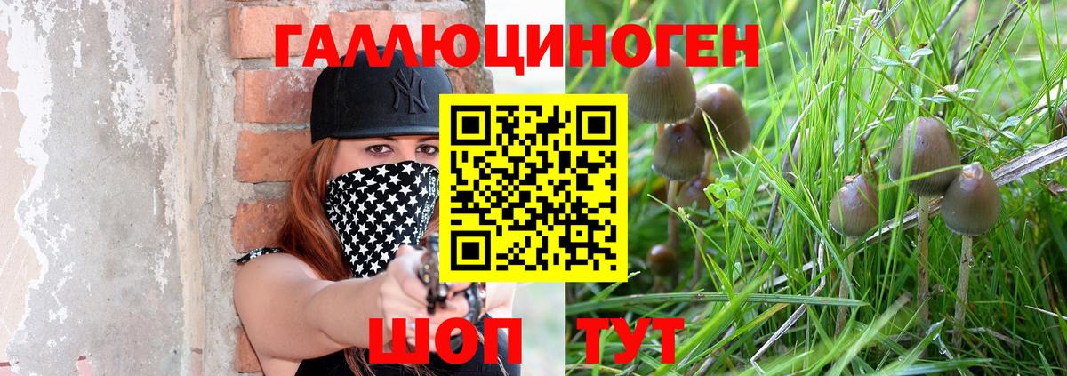 Мичуринск  Галлюциногенные грибы MAGIC MUSHROOMS  Вход с VPN 