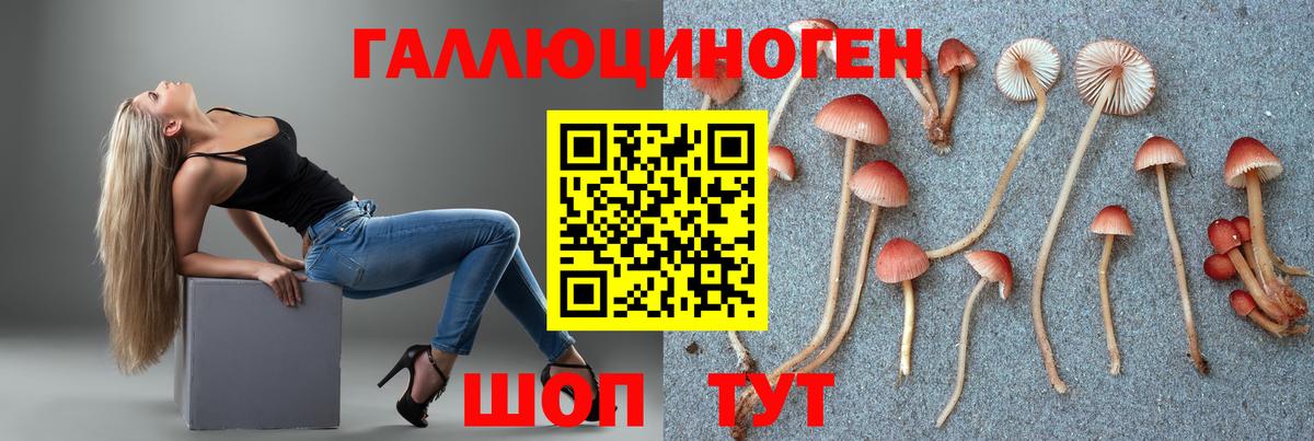 Галлюциногенные грибы GOLDEN TEACHER Мичуринск